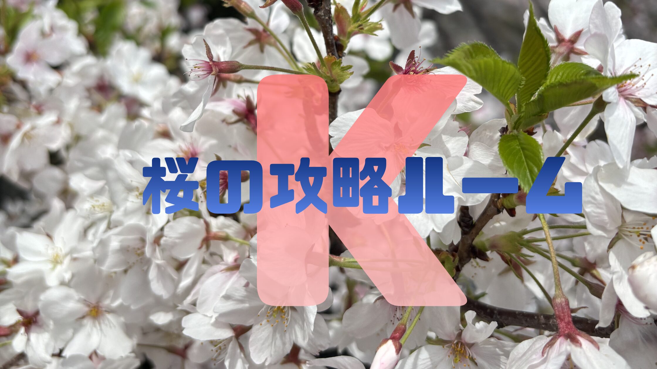 桜の攻略ルーム